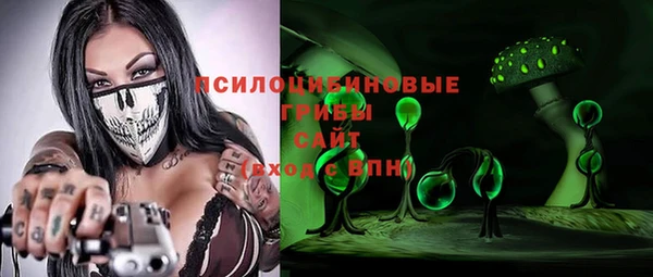 прущие грибы Вязьма