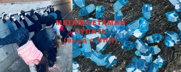 прущие грибы Вязьма
