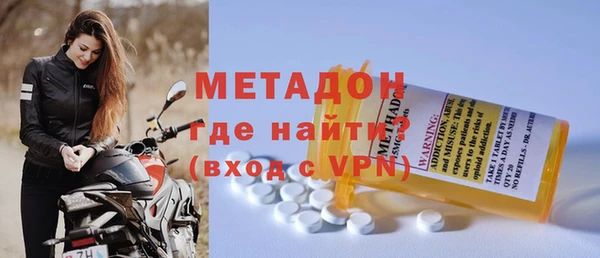 прущие грибы Вязьма