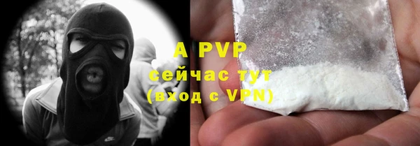 прущие грибы Вязьма