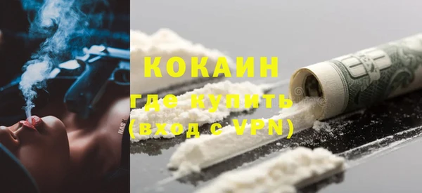 прущие грибы Вязьма