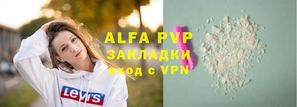 прущие грибы Вязьма