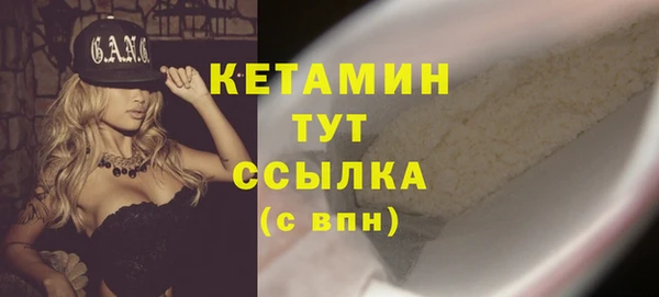 прущие грибы Вязьма