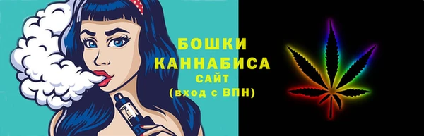 прущая мука Вяземский