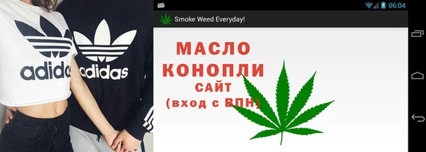 прущие грибы Вязьма