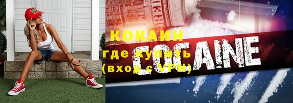 прущая мука Вяземский