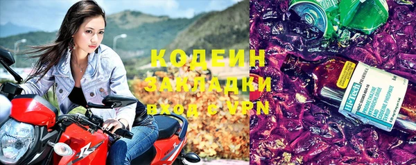 прущая мука Вяземский